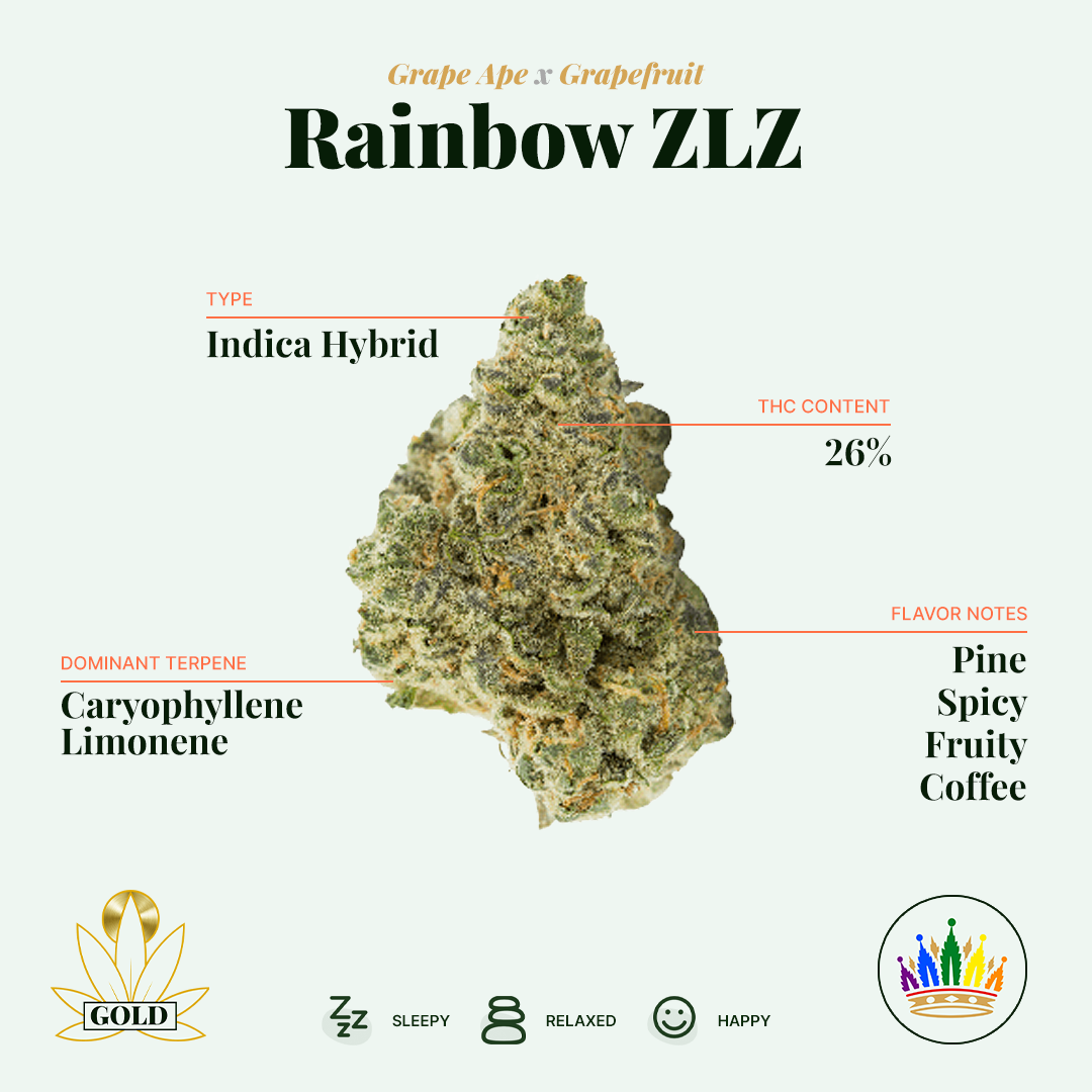 Strain Showcase Rainbow ZLZ
